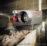 Отопление теплиц,  птичника, ферм, животноводства  - <ro>Изображение</ro><ru>Изображение</ru> #1, <ru>Объявление</ru> #69134