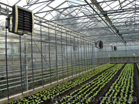 Отопление теплиц,  птичника, ферм, животноводства  - <ro>Изображение</ro><ru>Изображение</ru> #2, <ru>Объявление</ru> #69134