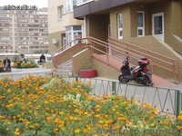 2-к квартира по просп. Григоренко 28. - <ro>Изображение</ro><ru>Изображение</ru> #3, <ru>Объявление</ru> #83890