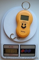 Весы кантер безмен электронный цифровой подвесной до 40 кг. Цена:100 грн - <ro>Изображение</ro><ru>Изображение</ru> #4, <ru>Объявление</ru> #75584