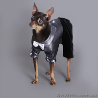 одежда для собак - <ro>Изображение</ro><ru>Изображение</ru> #2, <ru>Объявление</ru> #100186