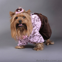 одежда для собак - <ro>Изображение</ro><ru>Изображение</ru> #5, <ru>Объявление</ru> #100186