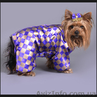 одежда для собак - <ro>Изображение</ro><ru>Изображение</ru> #4, <ru>Объявление</ru> #100186