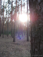 Киев.участок,под котеджную застройку. - <ro>Изображение</ro><ru>Изображение</ru> #2, <ru>Объявление</ru> #101316