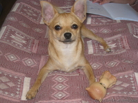 (Люда)sevkovit@mail.ru(0685911613 ) - <ro>Изображение</ro><ru>Изображение</ru> #2, <ru>Объявление</ru> #107765