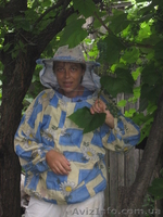 Антицеллюлитный массаж на дому - <ro>Изображение</ro><ru>Изображение</ru> #1, <ru>Объявление</ru> #115295