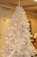 Новогодние елки и сосны - <ro>Изображение</ro><ru>Изображение</ru> #4, <ru>Объявление</ru> #120652