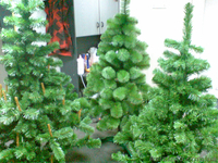 Новогодние елки и сосны - <ro>Изображение</ro><ru>Изображение</ru> #1, <ru>Объявление</ru> #120652