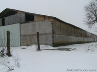 Cклады, цеха,производство,фермы,коморы - <ro>Изображение</ro><ru>Изображение</ru> #2, <ru>Объявление</ru> #120672