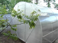 Теплицы, парники под поликарбонат - <ro>Изображение</ro><ru>Изображение</ru> #3, <ru>Объявление</ru> #126603