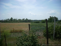 Дом с прямым выходом в р.Днепр - <ro>Изображение</ro><ru>Изображение</ru> #3, <ru>Объявление</ru> #149219