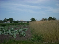 Дом с прямым выходом в р.Днепр - <ro>Изображение</ro><ru>Изображение</ru> #6, <ru>Объявление</ru> #149219