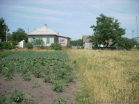 Дом с прямым выходом в р.Днепр - <ro>Изображение</ro><ru>Изображение</ru> #7, <ru>Объявление</ru> #149219