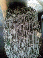 Колючая проволока - <ro>Изображение</ro><ru>Изображение</ru> #2, <ru>Объявление</ru> #136558