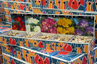 Оптовые поставки фасованных луковиц. - <ro>Изображение</ro><ru>Изображение</ru> #3, <ru>Объявление</ru> #146423