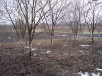 2-х эт. дом с уч 70 сот в Б/ц р-не за 35000 дол. срочно - <ro>Изображение</ro><ru>Изображение</ru> #7, <ru>Объявление</ru> #153771