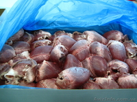  СУБПРОДУКТЫ СВИННЫE - <ro>Изображение</ro><ru>Изображение</ru> #5, <ru>Объявление</ru> #146638