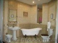  Стяжка,гипсокартон. Кровля профлистом,Киев - <ro>Изображение</ro><ru>Изображение</ru> #5, <ru>Объявление</ru> #173235