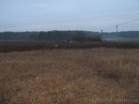 Участок в Боярке под жилую застройку. 5,5 соток / 18 500 у.е - <ro>Изображение</ro><ru>Изображение</ru> #2, <ru>Объявление</ru> #158663