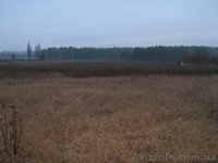 Участок в Боярке под жилую застройку. 5,5 соток / 18 500 у.е - <ro>Изображение</ro><ru>Изображение</ru> #4, <ru>Объявление</ru> #158663