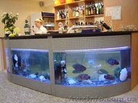 Гибка листового стекла - <ro>Изображение</ro><ru>Изображение</ru> #1, <ru>Объявление</ru> #183132