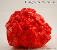 Корпоративный подарок - Фангам - <ro>Изображение</ro><ru>Изображение</ru> #3, <ru>Объявление</ru> #168180