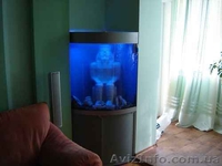 Гибка листового стекла - <ro>Изображение</ro><ru>Изображение</ru> #4, <ru>Объявление</ru> #183132