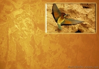 Декоративная штукатурка.Венецианская штукатурка.Отточенто.Травертин. - <ro>Изображение</ro><ru>Изображение</ru> #1, <ru>Объявление</ru> #157859