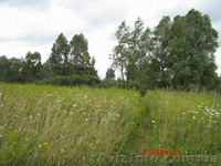 Продаю участок 40-км от Киева по трассе Киев-Харьков. Барышевский- район село Се - <ro>Изображение</ro><ru>Изображение</ru> #2, <ru>Объявление</ru> #198919