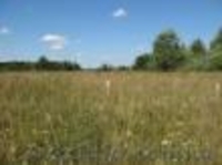 Продаю участок 40-км от Киева по трассе Киев-Харьков. Барышевский- район село Се - <ro>Изображение</ro><ru>Изображение</ru> #1, <ru>Объявление</ru> #198919