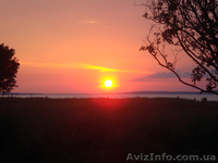 Продам участок-домовладение на берегу моря в Крыму - <ro>Изображение</ro><ru>Изображение</ru> #1, <ru>Объявление</ru> #189310