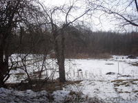 Продается  земельный участок в с. Вишенки - <ro>Изображение</ro><ru>Изображение</ru> #2, <ru>Объявление</ru> #216525