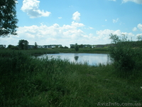 Юрий Анатольевич 0932110000 www.bogdanovka.com.ua - <ro>Изображение</ro><ru>Изображение</ru> #2, <ru>Объявление</ru> #185978