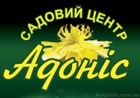 Садовый центр "Адонис" - <ro>Изображение</ro><ru>Изображение</ru> #1, <ru>Объявление</ru> #235480