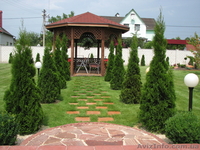 Садовый центр "Адонис" - <ro>Изображение</ro><ru>Изображение</ru> #5, <ru>Объявление</ru> #235480