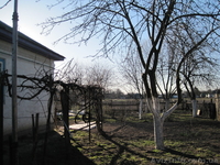 Продам дом в с. Карпиловка Козелецкий р - <ro>Изображение</ro><ru>Изображение</ru> #3, <ru>Объявление</ru> #242282