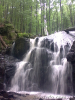 Летний отдых в Закарпатье - <ro>Изображение</ro><ru>Изображение</ru> #2, <ru>Объявление</ru> #270563