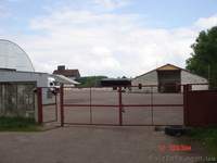 Продам или сдам в аренду свинарники, коровники, овощехранилище Киев - <ro>Изображение</ro><ru>Изображение</ru> #1, <ru>Объявление</ru> #286778