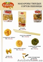 Компания "ИТАЛИМПОРТ" - <ro>Изображение</ro><ru>Изображение</ru> #2, <ru>Объявление</ru> #281882