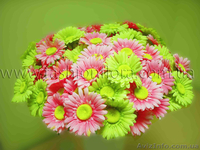 Искусственные цветы, овощи, фрукты Киев - <ro>Изображение</ro><ru>Изображение</ru> #4, <ru>Объявление</ru> #323671