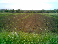 продам участок земли недалеко от моря - <ro>Изображение</ro><ru>Изображение</ru> #3, <ru>Объявление</ru> #323707