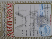 щенки йоркширского терьера, перспективные для выставок, 5 месяцев - <ro>Изображение</ro><ru>Изображение</ru> #9, <ru>Объявление</ru> #336074