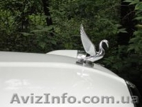 Ретро-лимузин "Эксклюзив" стал ещё лучше!!! - <ro>Изображение</ro><ru>Изображение</ru> #4, <ru>Объявление</ru> #336666