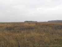 Продажа земли в Барышевке, 55 км. от Киева S 26 соток - <ro>Изображение</ro><ru>Изображение</ru> #1, <ru>Объявление</ru> #333329