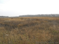 Продажа земли в Барышевке, 55 км. от Киева S 26 соток - <ro>Изображение</ro><ru>Изображение</ru> #3, <ru>Объявление</ru> #333329