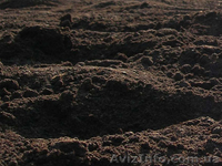 Грунт на подсыпку,чернозем. - <ro>Изображение</ro><ru>Изображение</ru> #2, <ru>Объявление</ru> #337888