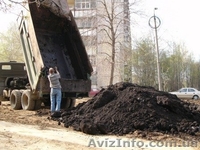 Грунт на подсыпку,чернозем. - <ro>Изображение</ro><ru>Изображение</ru> #1, <ru>Объявление</ru> #337888