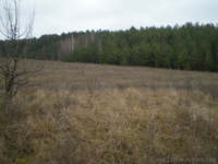 Продам земельный участок  под Киевом - <ro>Изображение</ro><ru>Изображение</ru> #1, <ru>Объявление</ru> #319019