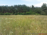 Продам участок 45 км - от Киева  - <ro>Изображение</ro><ru>Изображение</ru> #1, <ru>Объявление</ru> #347315