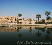 Египет от 400 у.е. - <ro>Изображение</ro><ru>Изображение</ru> #4, <ru>Объявление</ru> #367067